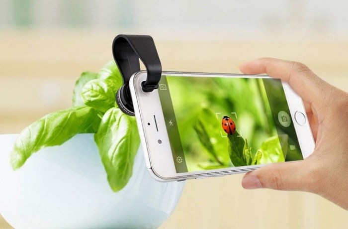 Teknik fotografi makro untuk smartphone