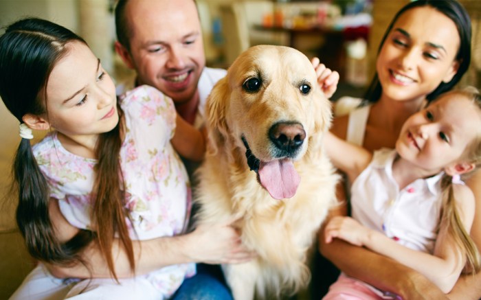 Pet insurance for families