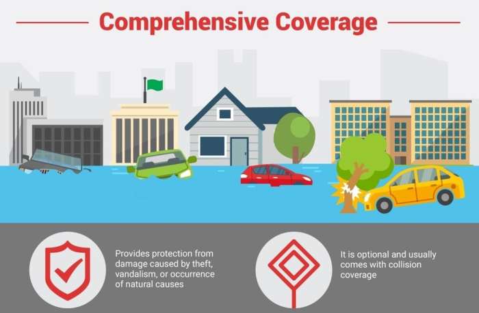 Comprehensive insurance coverage