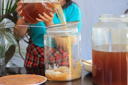 Eksperimen fermentasi membuat kombucha sendiri