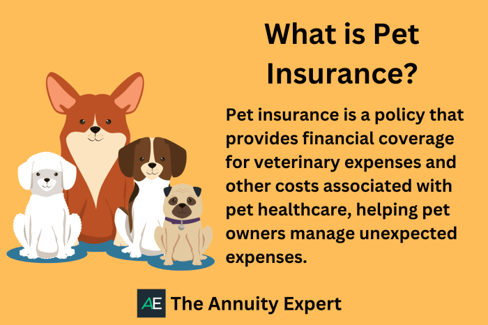 Pet insurance for families