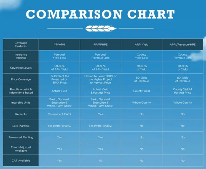 How to Compare Insurance Providers