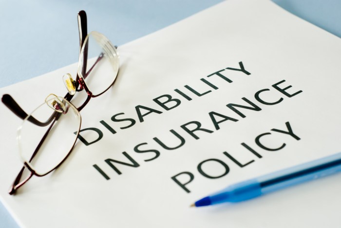 Disability Insurance Options A Comprehensive Guide