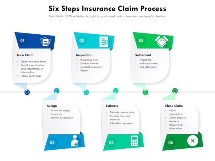 Insurance claim process