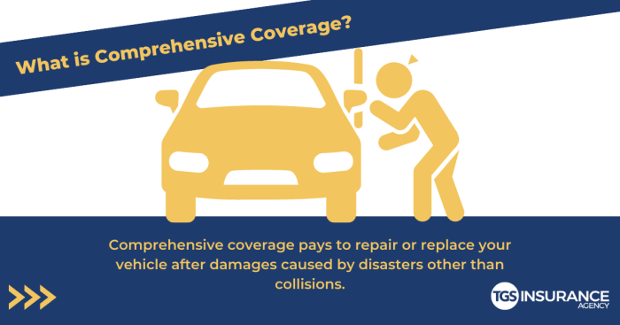 Comprehensive insurance coverage